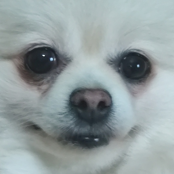 Meet the Posher Other - Meet your Posher, Blake